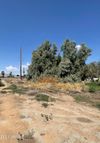 70818 Highway 60 photo